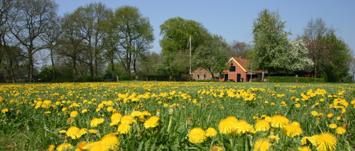 Visie3